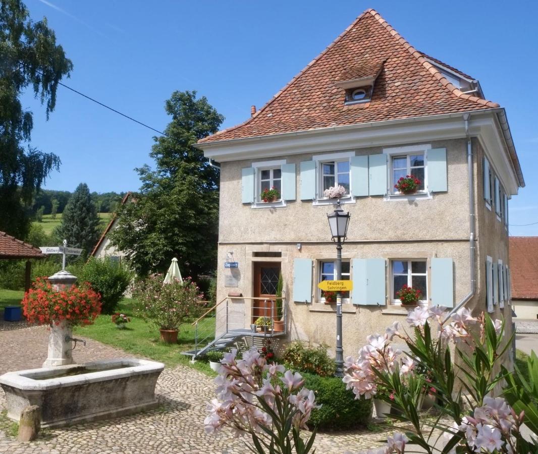 Ferienhaus Zur Alten Dame バーデンヴァイラー エクステリア 写真